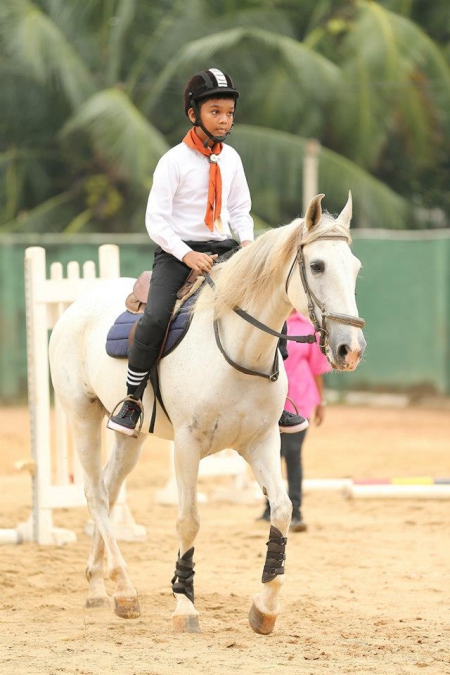 Show Jumping 2012_1