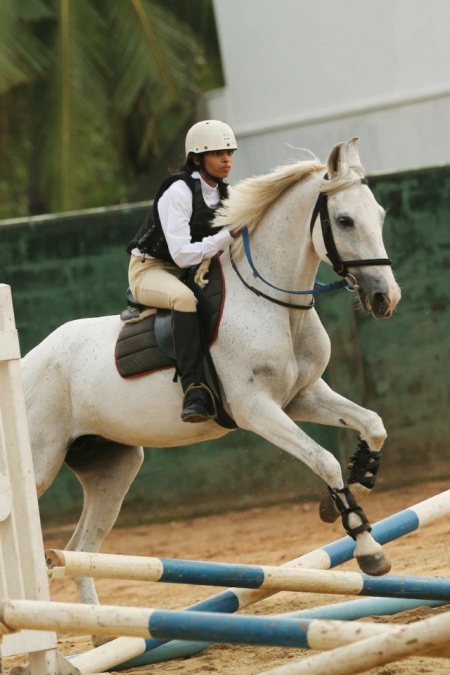 Show Jumping 2012_3