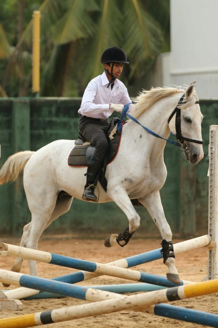Show Jumping 2012_4