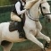 Show Jumping 2012_3