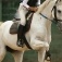 Show Jumping 2012_7