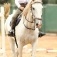 Show Jumping 2012_11